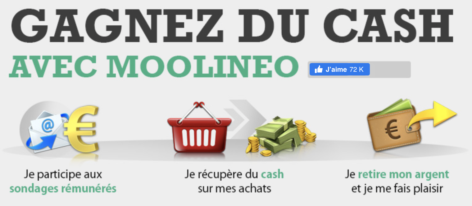 Moolineo avis : Site fiable ou arnaque